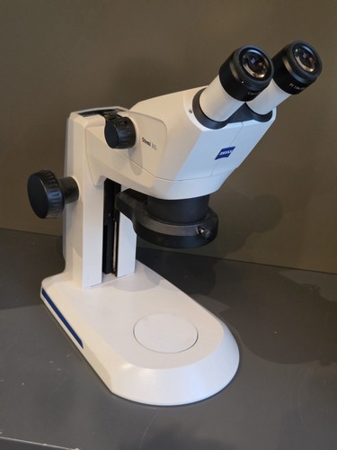 Zeiss stemi 305 - 🔬,