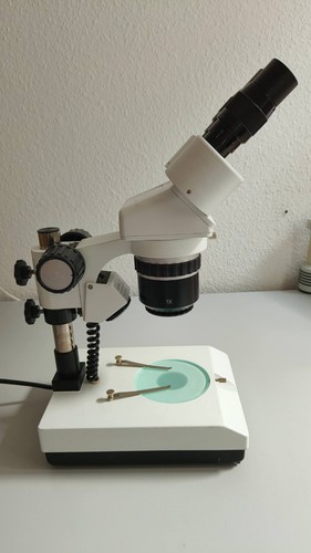 Stereo mikroskop binokular - binokular, mit