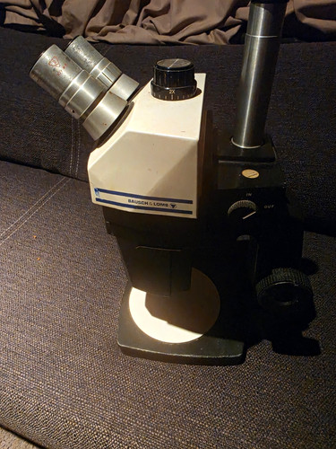 Bausch lomb - bausch,