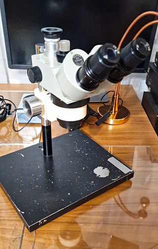 Stereomikroskop mit