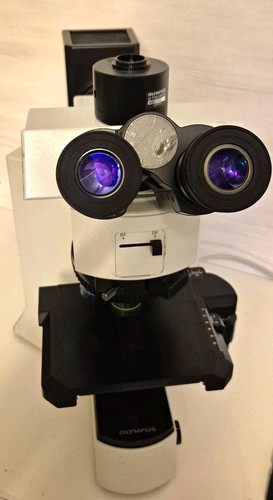 Olympus bx51rf - olympus,